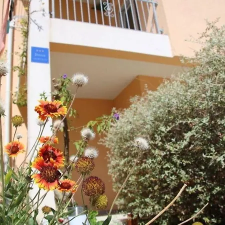 דירה Ferienwohnung Fuer 4 Personen Ca 45 Qm In Orebic, Dalmatien Sueddalmatien